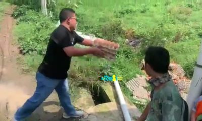 Harga Pakan Terus Naik, Peternak Ayam Telur Minta Maaf Karena Buang Telur.