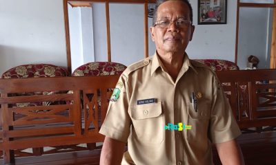 Dinas Peternakan Tak Pernah Turun Ke Lapangan, Warga Tunggur Keluhkan Lalat Di Musim Hujan.