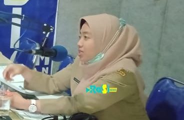 Perusahaan Mitra Kerja Peternak di Desa Tunggur Seharusnya Ikut Bertanggung Jawab Terkait Lalat dan Bau Menyengat Kotoran Ayam