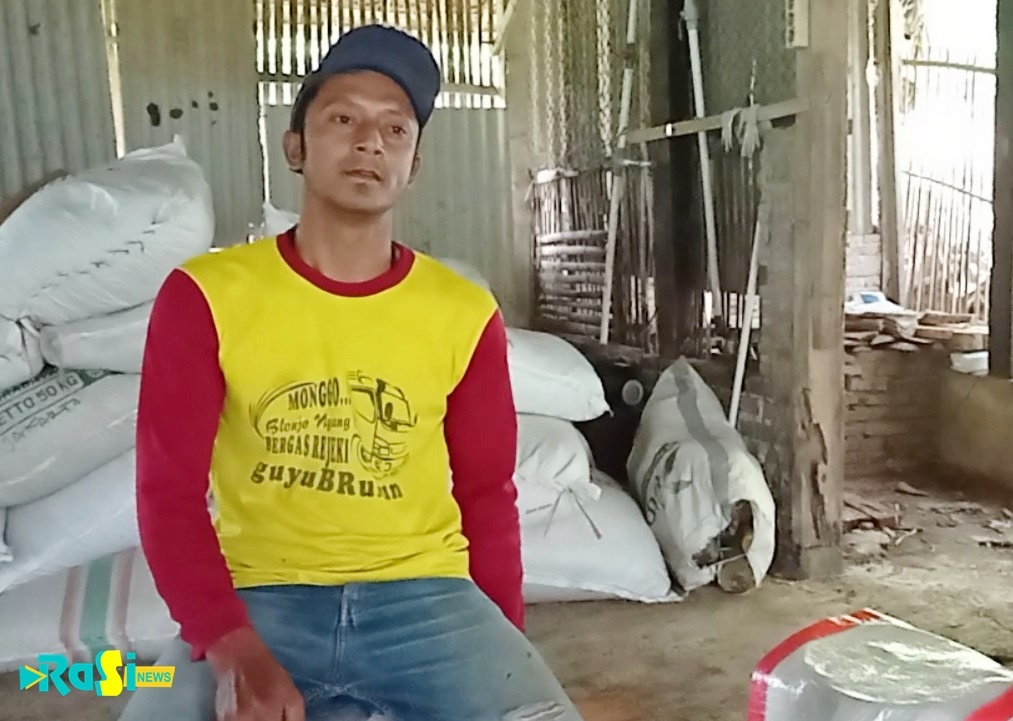 Manfaatkan Kotoran Kambing dan Kelinci, Pemuda di Desa Sidorejo Sebulan Mampu Membuat 1 Ton Pupuk Organik