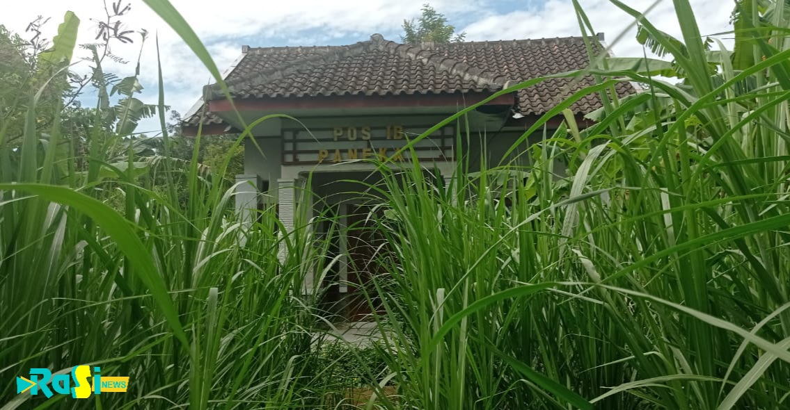 Sengaja Ditanami Rumput, Pos Inseminasi Buatan Dinas Peternakan Magetan Mangkrak.