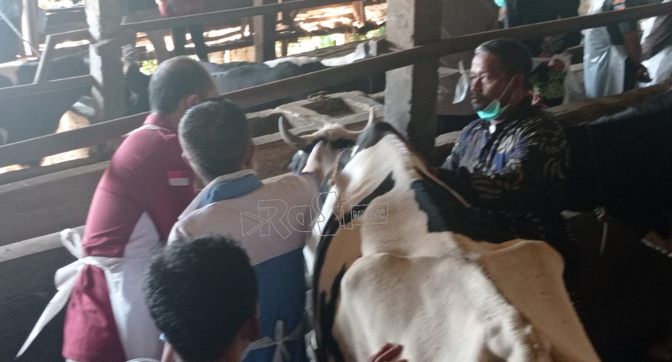 Dapat Tambahan Vaksin PMK 8.000 Dosis, Pemkab Magetan Mulai Re Vaksin Sapi.