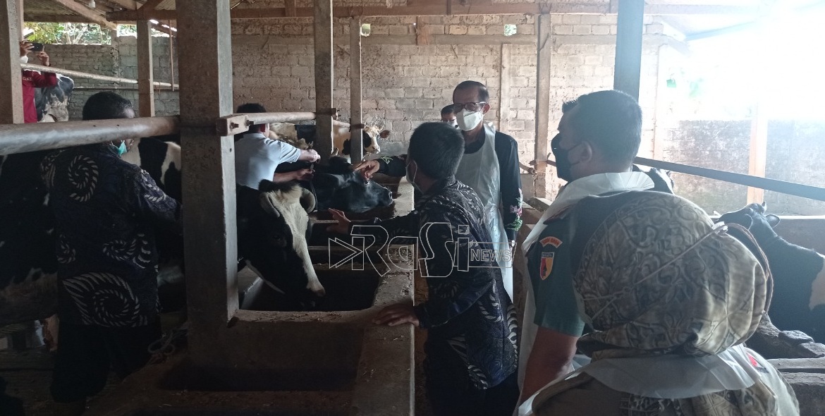 Dinas Peternakan dan Perikanan Kabupaten Magetan Klaim Kasus PMK Mulai Melandai.