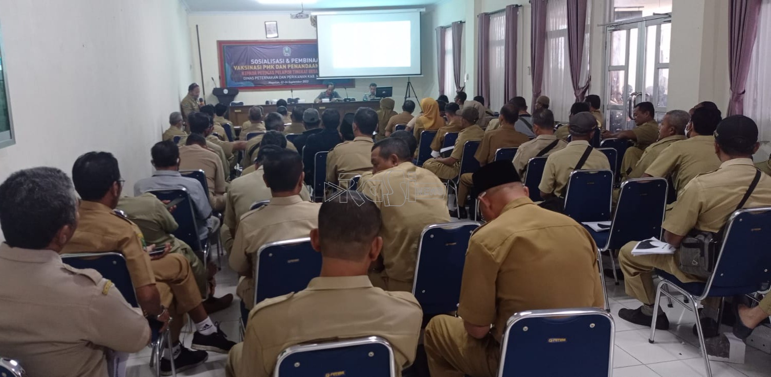 Gelar Pelsa, Dinas Peternakan Kabupaten Magetan Sosialisasikan Penanganan PMK Yang Mulai Melandai.