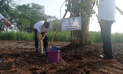 Bertema Beringin, DLH Magetan Hijaukan Lahan 4,1 Hektar.