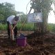 Bertema Beringin, DLH Magetan Hijaukan Lahan 4,1 Hektar.