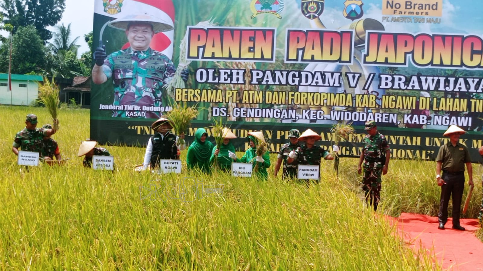Turut Jaga Ketahanan Pangan, Pangdam V Brawijaya Pastikan Anggotanya Garap 300 Hektar Lahan Aser TNI Ditanami Padi Unggul