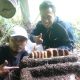 Geluti Beternak Lebah Madu, Pemuda Desa Sukowidi Bisa Kumpulkan Puluhan Liter Madu Asli Setiap tahun.