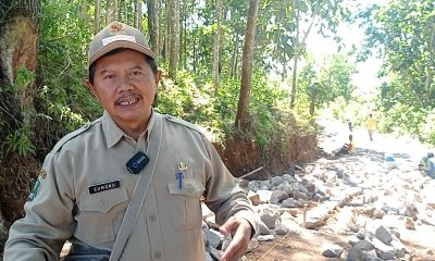 Warga Desa Trosono Kembangkan Tanaman Tembakau Rejeb Gunung Blego Seluas 2 Hektar.