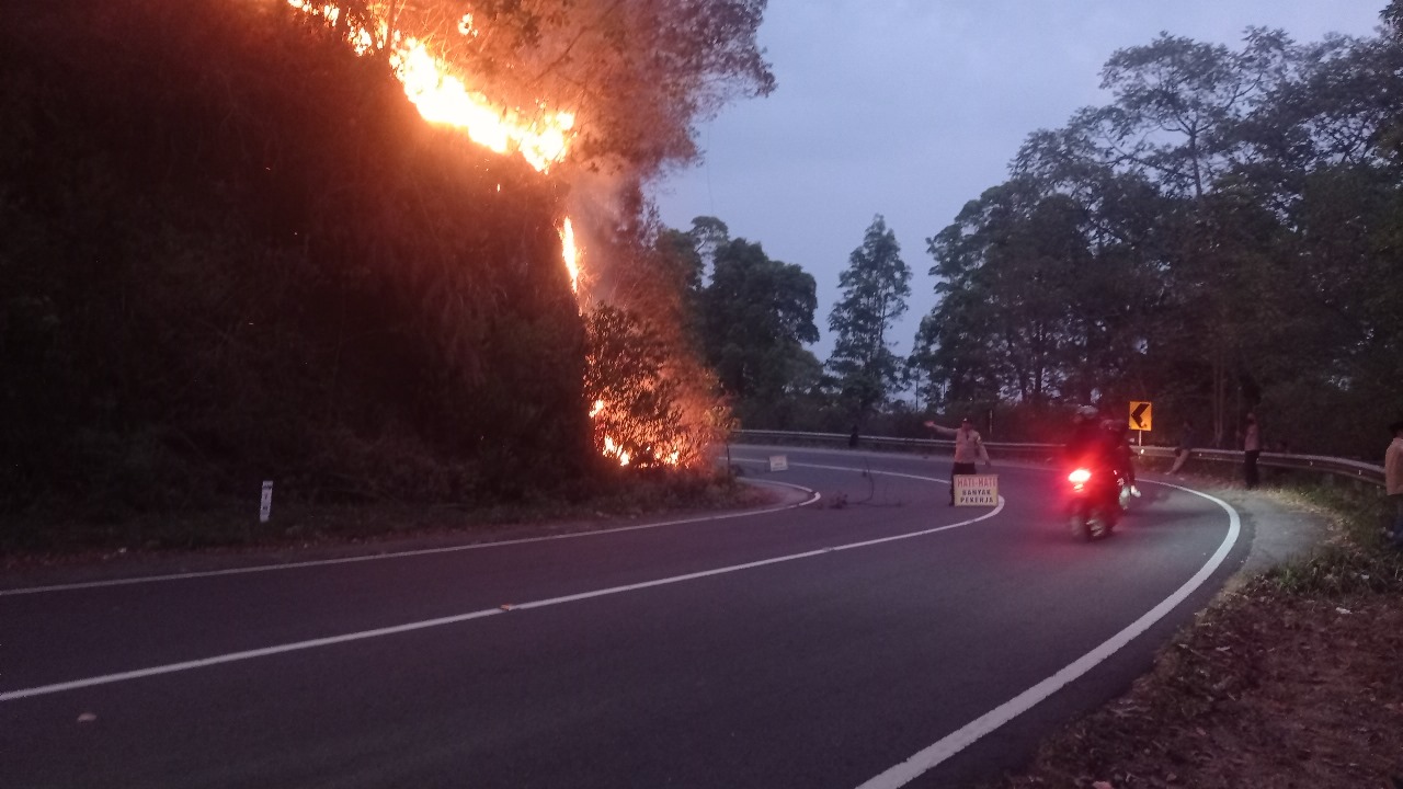 Angin Kencang Percepat Api Rembetan Kebakaran Gunung Lawu Menuju Jalan Tembus Magetan - Tawangmangu