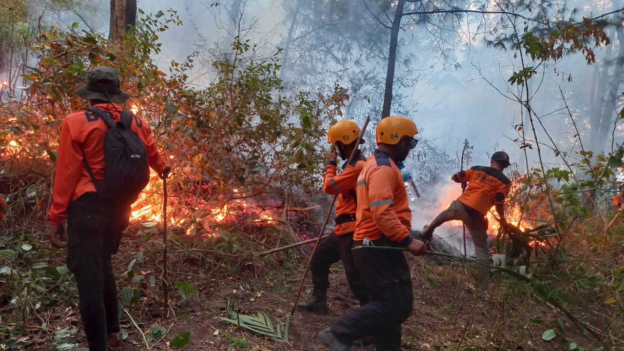Kebakaran Hutan di Gunung Lawu Meluas Ke Lereng Selatan.