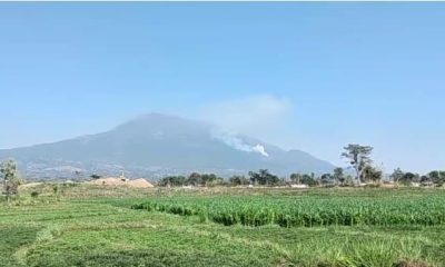 Hari ke 11 Kebakaran Gunung Lawu Luasan Lahan Yang Terbakar Capai 2.000 Hektar Lebih.