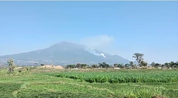 Hari ke 11 Kebakaran Gunung Lawu Luasan Lahan Yang Terbakar Capai 2.000 Hektar Lebih.