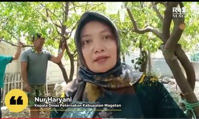 Dinas Peternakan Kabupaten Magetan Entaskan 180 Masyarakat Miskin Ekstrem Dengan Bantuan Kambing Seharga Rp 2,6 Juta