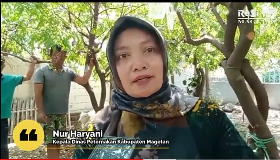 Dinas Peternakan Kabupaten Magetan Entaskan 180 Masyarakat Miskin Ekstrem Dengan Bantuan Kambing Seharga Rp 2,6 Juta