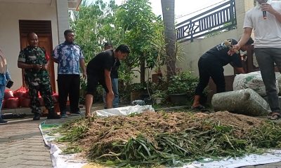 Tingkatkan Kualitas Pakan Ternak, Dosen IPB Lakukan Pengabdian Pembuatan Pakan Awetan di Magetan 