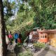 Cuaca Ekstrem, Dua Warung di Telaga Sarangan Tertimpa Pohon