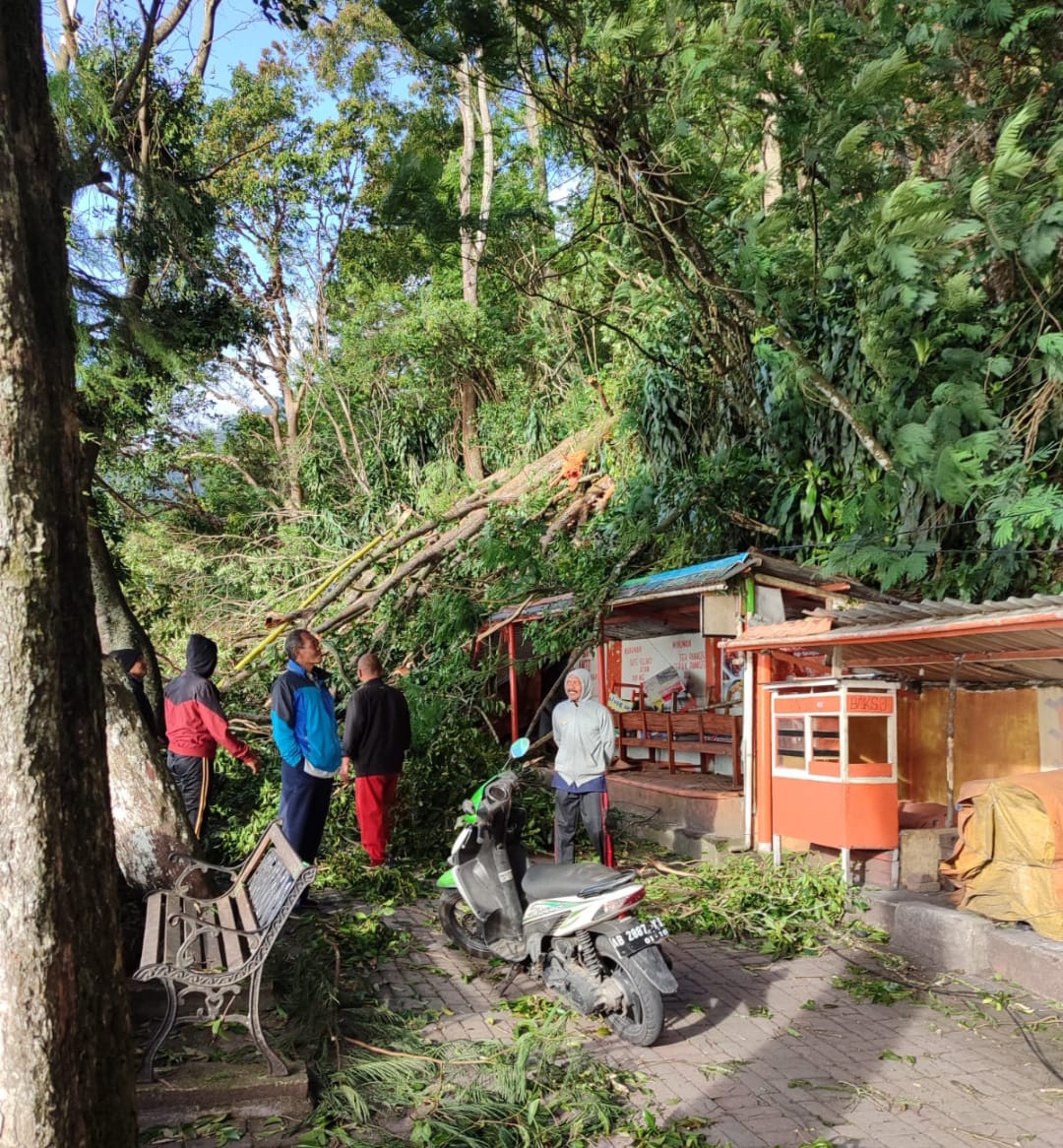 Cuaca Ekstrem, Dua Warung di Telaga Sarangan Tertimpa Pohon
