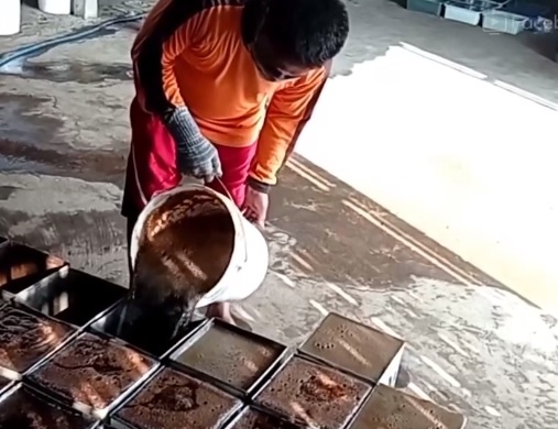 Harga Bahan Pokok Naik, Pengrajin Cincau Hitam di Magetan Memilih Nunggu Masuk Bulan Puasa Baru Produksi.
