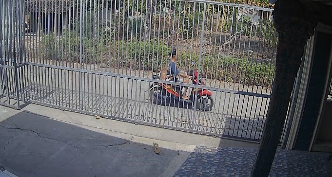 Warga Sempat Bantu Tangkap Kambing Curian Bocil yang Lepas di Ponorogo, Terungkap Berkat CCTV Warga.