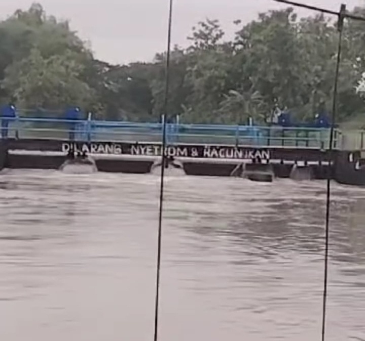 Sungai Ulo dan Sungai Sidodadi Meluap, 16 Hektar Tanaman Padi Petani di Magetan Terendam Banjir.