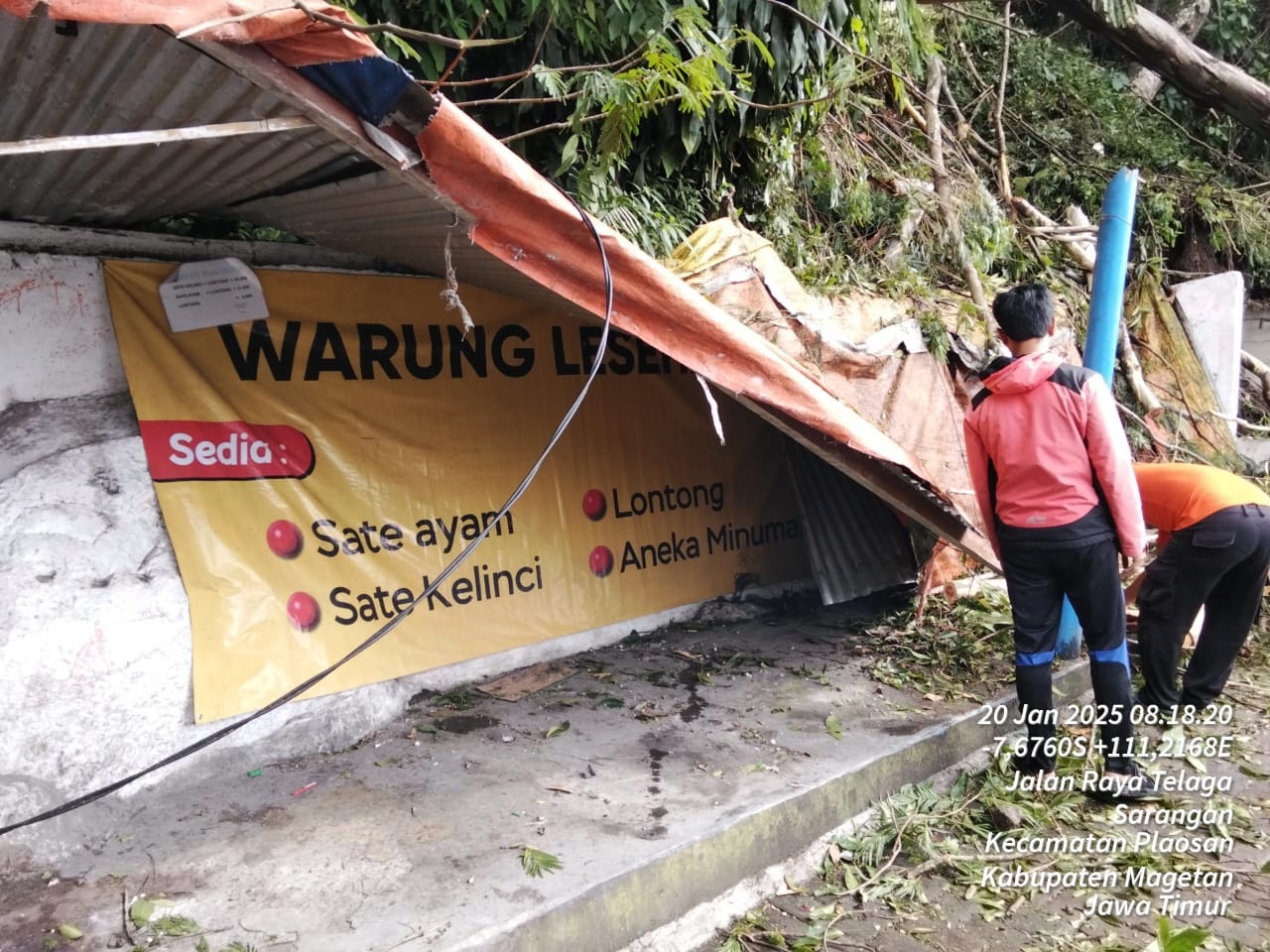 Diguyur Hujan Deras Disertai Angin kencang, Pohon di Pinggir Sarangan Tumbang Timpa 3 Warung.