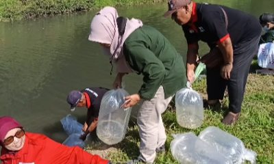 Dinas Peternakan dan Perikanan Magetan Lepas 75.000 Benih Ikan untuk Menjaga Keseimbangan Ekosistem Perairan