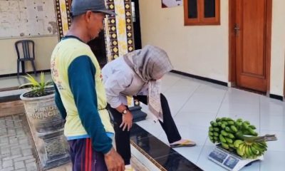 Bayar Pajak Dengan Pisang, Cara Pemdes Bringin Ponorogo Ringankan Warga Bayar PBB.