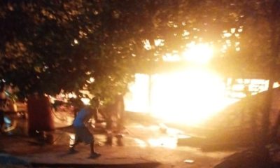 Kandang Ayam Berisi 10 Ribu Ekor di Ponorogo Terbakar, Kerugian Capai Rp700 Juta