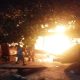 Kandang Ayam Berisi 10 Ribu Ekor di Ponorogo Terbakar, Kerugian Capai Rp700 Juta