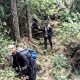 Antisipasi Kebakaran Hutan Saat Kemarau, Perhutani Bangun Sekat Bakar di Lereng Lawu
