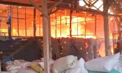 Kebakaran Kandang Ayam di Lembeyan Hanguskan  40.000 Ekor Anak Ayam.