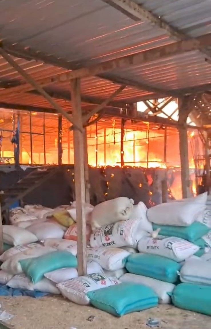 Kebakaran Kandang Ayam di Lembeyan Hanguskan  40.000 Ekor Anak Ayam.