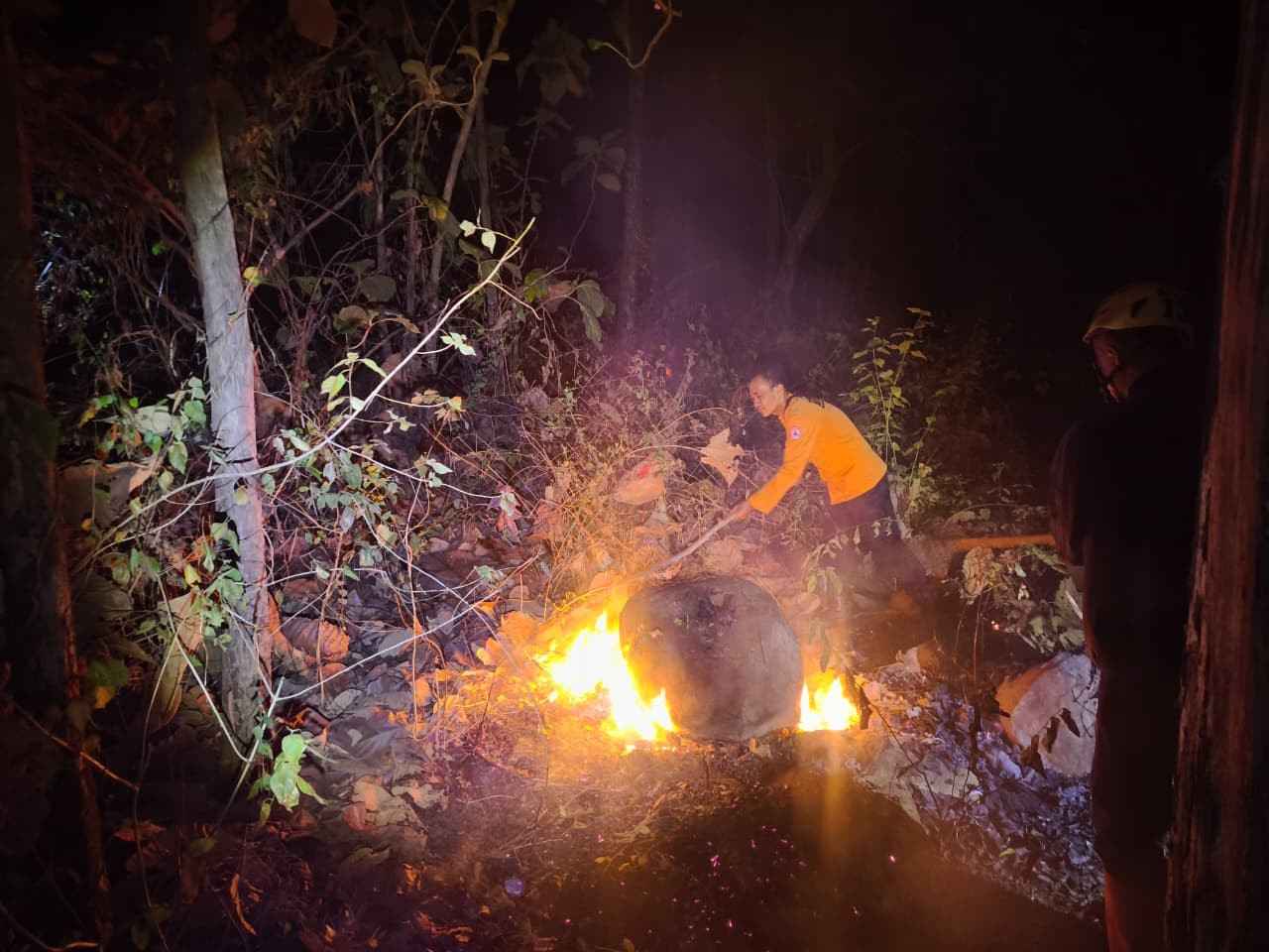 Kebakaran Hutan Jati di Magetan Diduga akibat Pembukaan Lahan, Hanguskan 5 Hektare