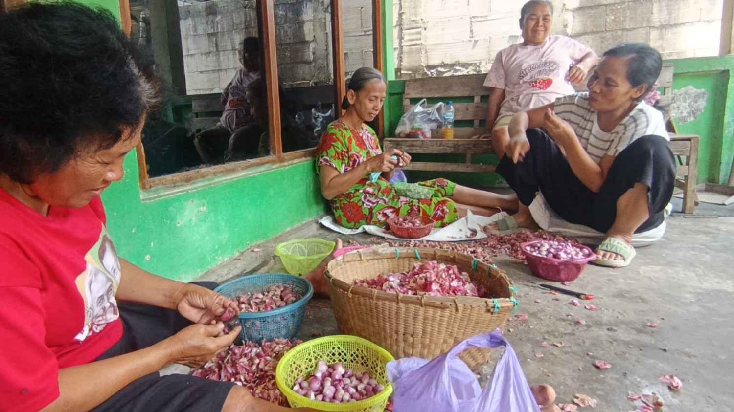 Upah Pengupas Bawang di Magetan, Kerja dari Pagi hingga Sore Hanya Dapat Rp 7.500, Berharap Pemerintah Membantu.