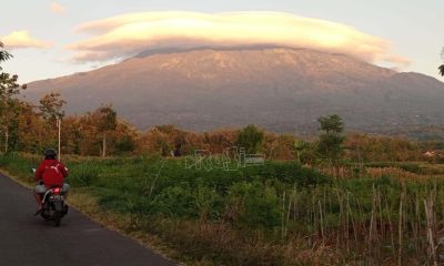 Tak Prospek Lagi, Satu Destinasi Wisata di Magetan Dipastikan Tutup 3 Lainnya Masih Proses Perpanjangan Kerja Sama dengan Perhutani