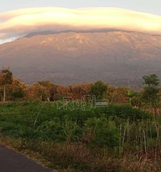Tak Prospek Lagi, Satu Destinasi Wisata di Magetan Dipastikan Tutup 3 Lainnya Masih Proses Perpanjangan Kerja Sama dengan Perhutani