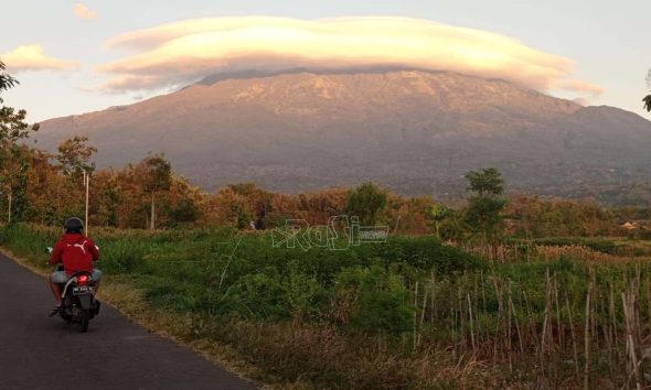 Satu Destinasi Wisata Alam di Magetan Dipastikan Tutup, 3 Lainnya Masih Proses Perpanjangan Kerja Sama dengan Perhutani