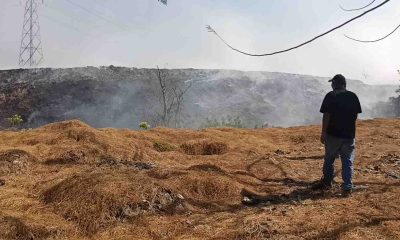 TPA Milangasri Magetan Terbakar, DLH Sebut Api Muncul Diduga dari Daduk yang Dibakar.
