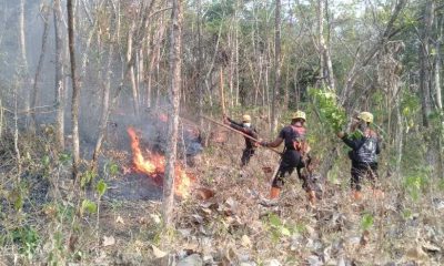 Hutan Rakyat Pager Gunung Seluas 3 Hektar Terbakar di Magetan Diduga Pembukaan Lahan.