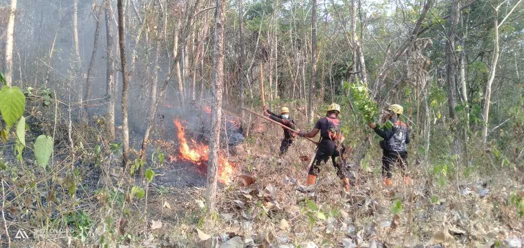 Hutan Rakyat Pager Gunung Seluas 3 Hektar Terbakar di Magetan Diduga Pembukaan Lahan.