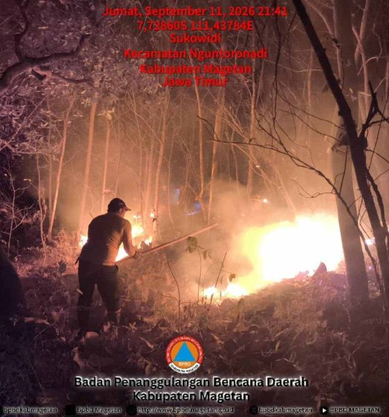 Kebakaran Hutan Rakyat di Gunung Bancak Magetan Meluas 1 Hektar, Dipadamkan Manual