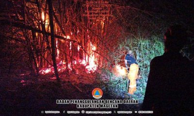 Rumpun Bambu Terbakar di Kuwon Karas, Api Berhasil Dipadamkan