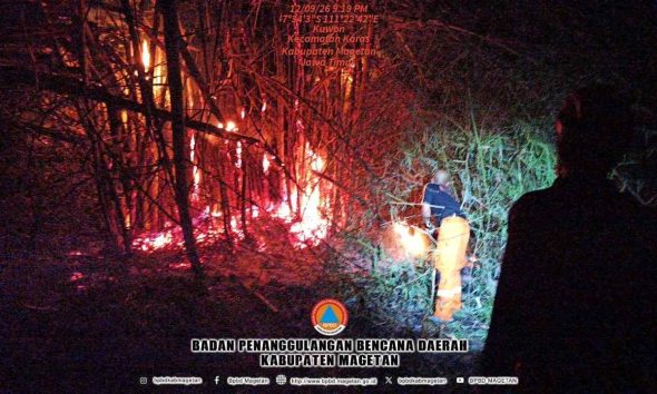 Rumpun Bambu Terbakar di Kuwon Karas, Api Berhasil Dipadamkan