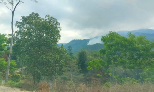 Kebakaran Gunung Lawu di Magetan Hanguskan 15 Hektare Lahan Pinus, 3 Titik Api Terpantau di Ngawi.