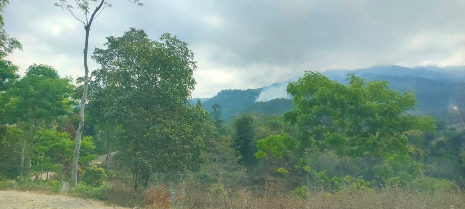 Kebakaran Gunung Lawu di Magetan Hanguskan 15 Hektare Lahan Pinus, 3 Titik Api Terpantau di Ngawi.