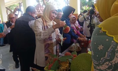 Khofifah Dorong Sekolah Kembangkan Ketahanan Pangan Tanpa Lahan Luas