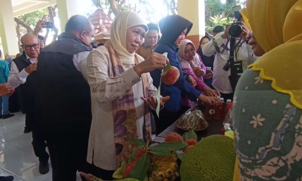 Khofifah Dorong Sekolah Kembangkan Ketahanan Pangan Tanpa Lahan Luas