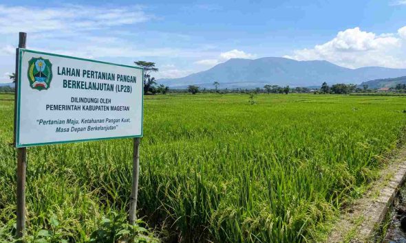 Magetan Usulkan 23.016 Hektare Lahan Pertanian Dilindungi, Investasi Bisa Manfaatkan Selisih