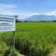 Magetan Usulkan 23.016 Hektare Lahan Pertanian Dilindungi, Investasi Bisa Manfaatkan Selisih